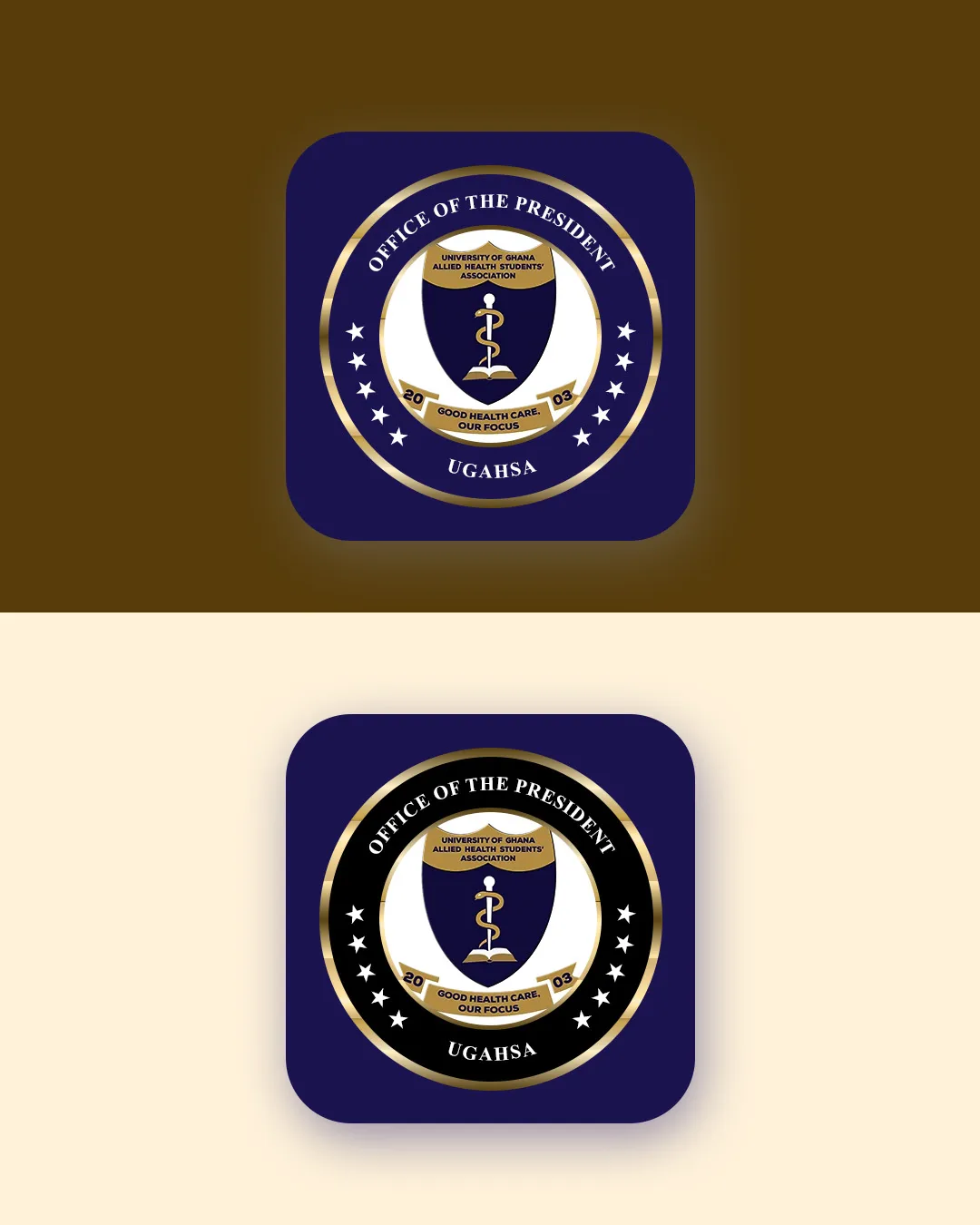 Institutional Identity Design